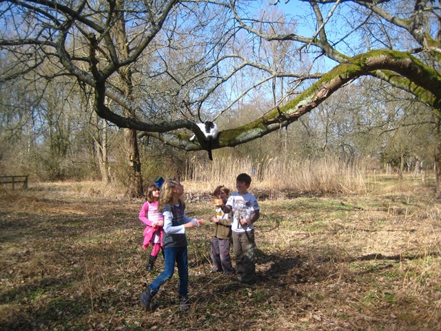 Im NABU-Garten