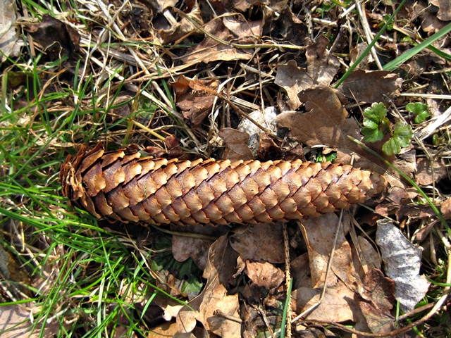 im NABU-Garten