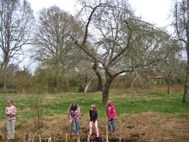 Im NABU-Garten