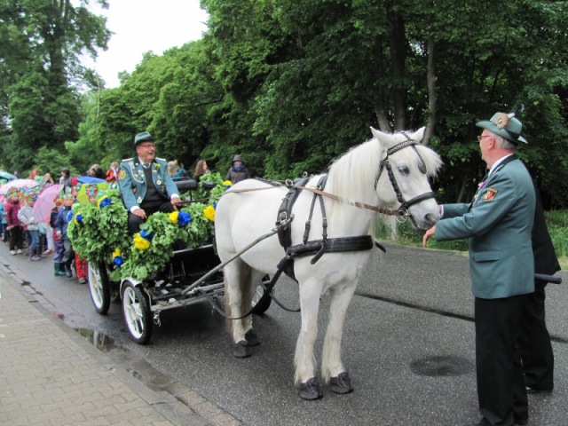 Schützenfestumzug 2013