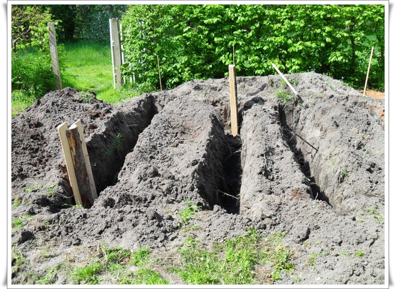 Umweltgarten erwacht zu neuem Leben