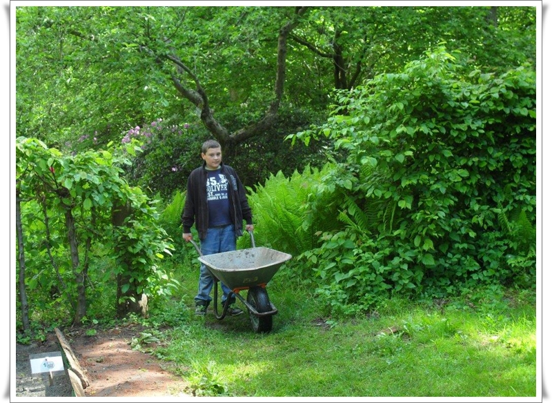 Umweltgarten erwacht zu neuem Leben