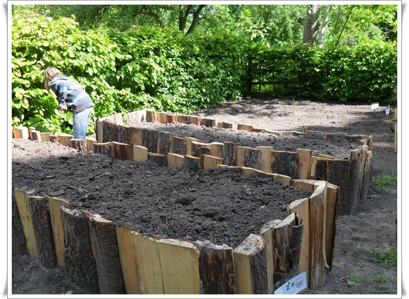 Umweltgarten erwacht zu neuem Leben