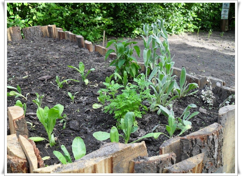 Umweltgarten erwacht zu neuem Leben