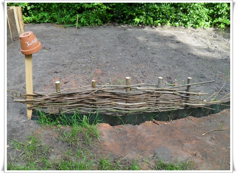 Umweltgarten erwacht zu neuem Leben