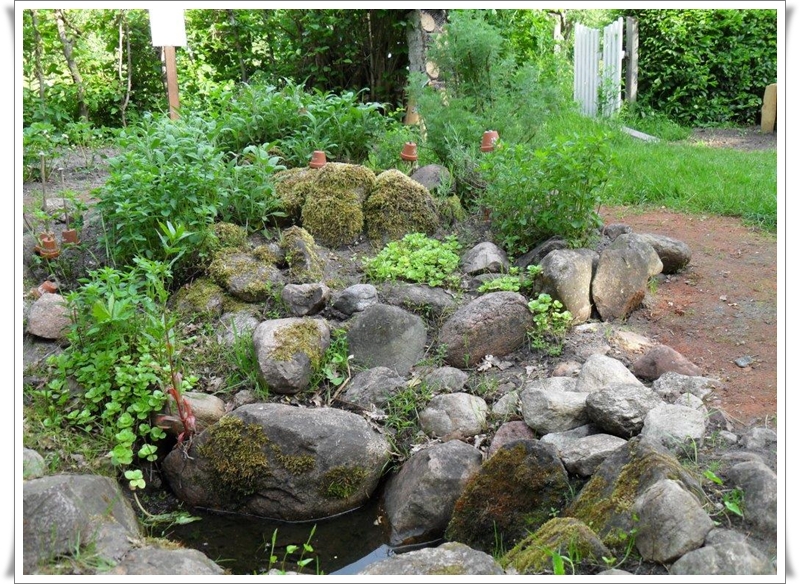 Umweltgarten erwacht zu neuem Leben